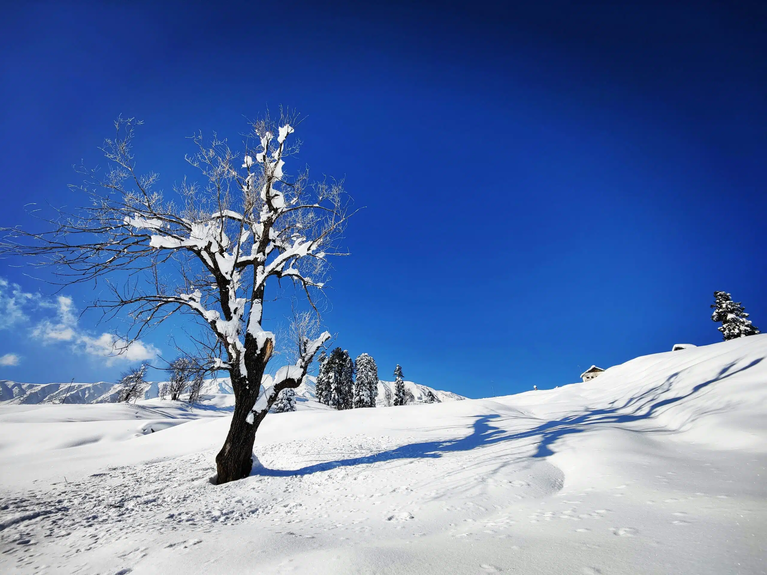 Kashmir Scenic Escape