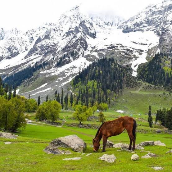 Pahalgam Valley